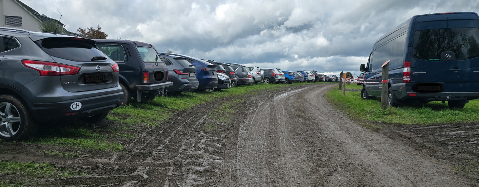 Einsatz: Verkehrsdienst